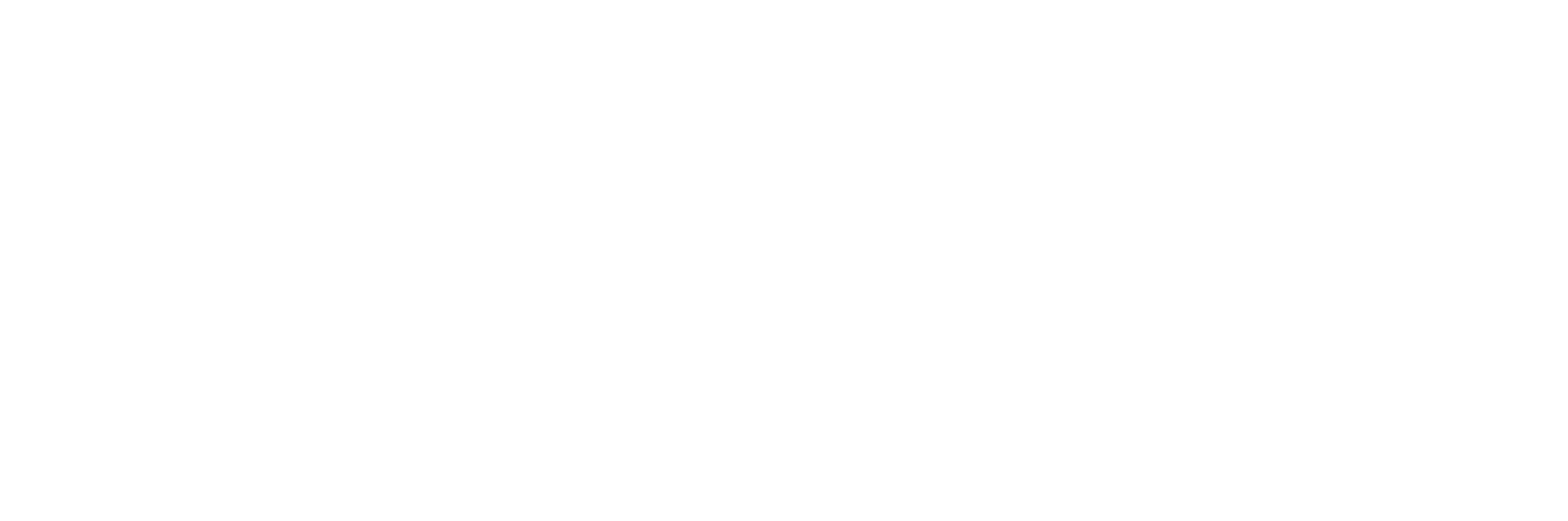 Metl-Span  Logo